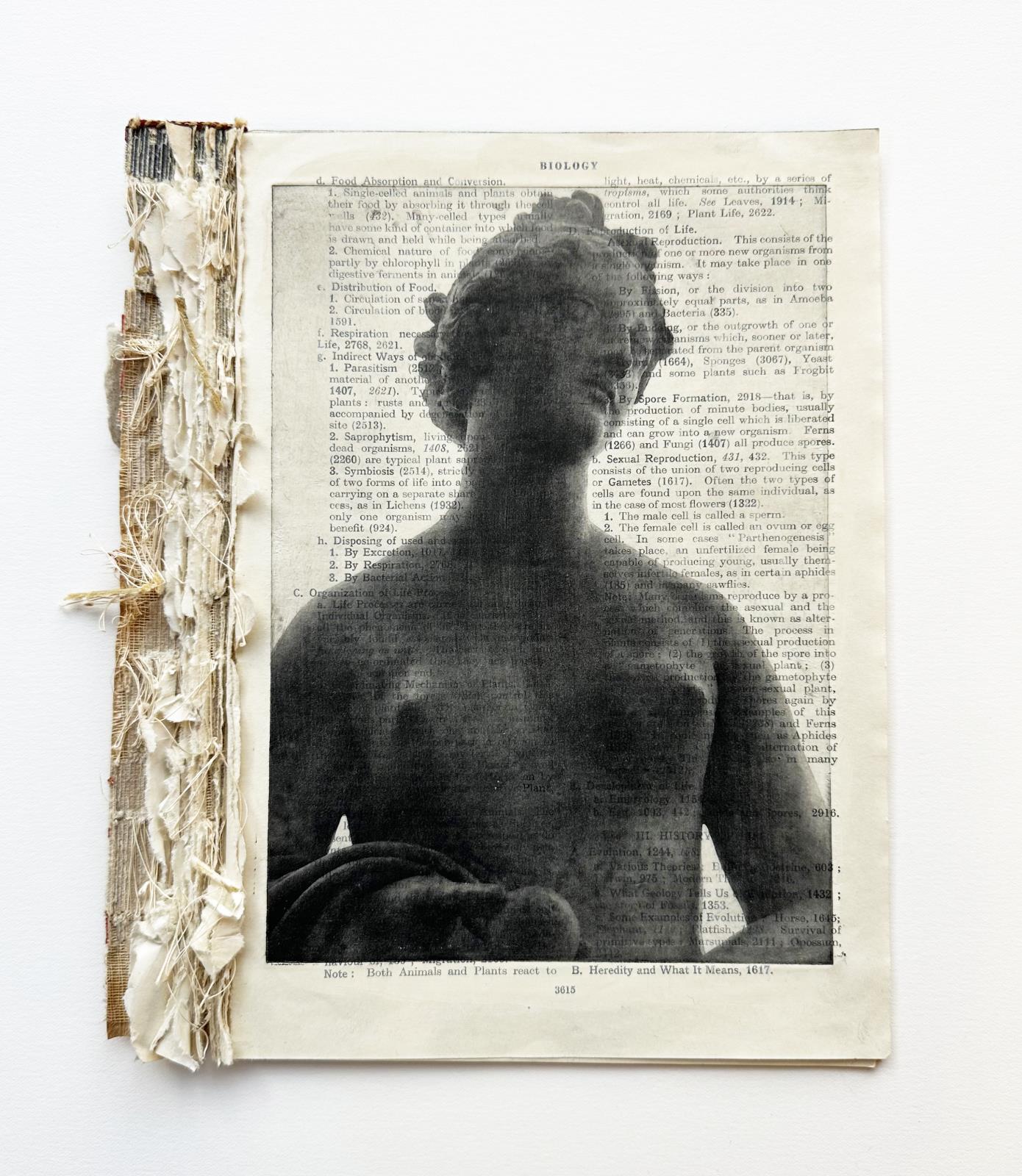 Venus 